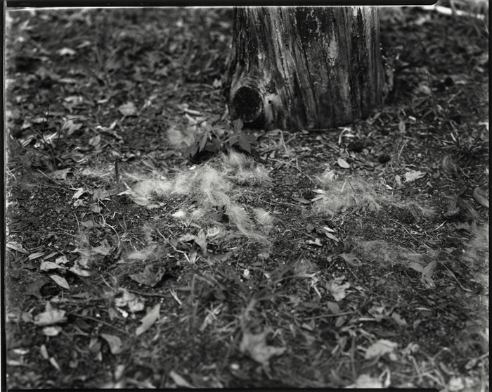Allison Barnes | Autobiogeography | One, One Thousand | Southern Photography