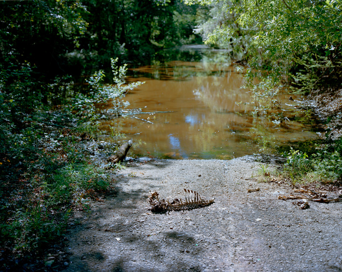Andrew Hefter | In search of life | One, One Thousand | Southern Photography