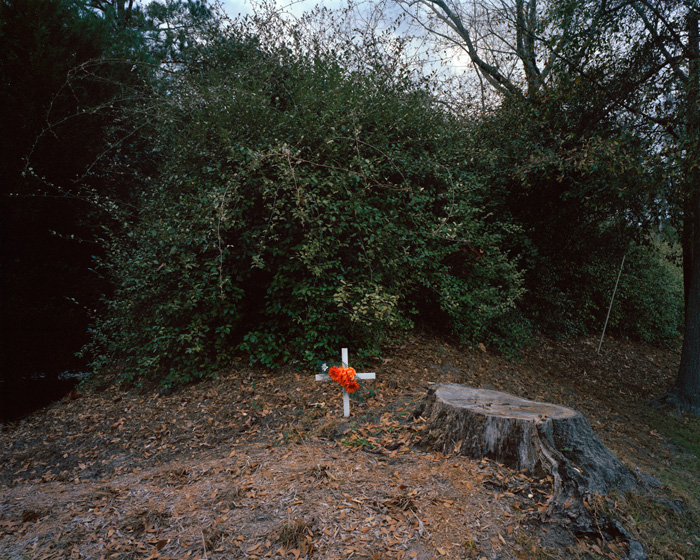 Andrew Hefter | In search of life | One, One Thousand | Southern Photography