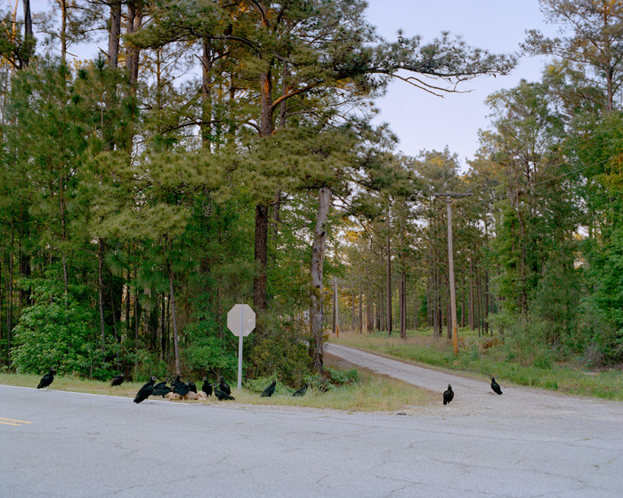 Andrew Hefter | In search of life | One, One Thousand | Southern Photography