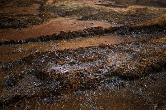 Andrew Hefter | In search of life | One, One Thousand | Southern Photography