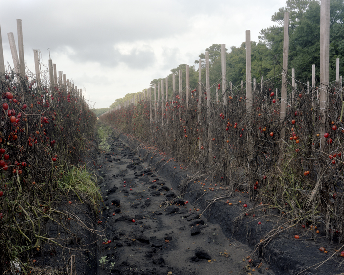 Dana Mueller | The Devil's Den | One, One Thousand | Southern Photography